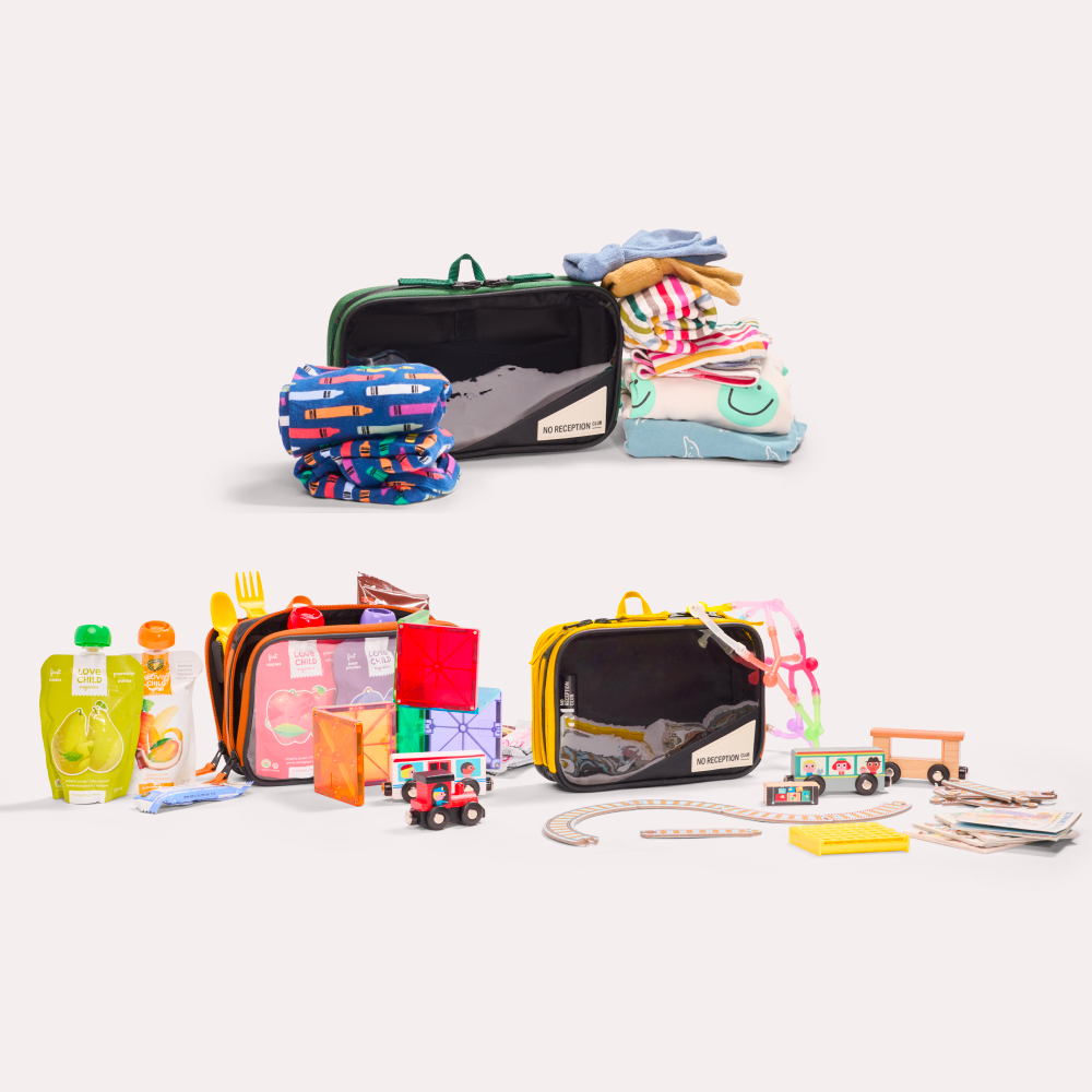 Set of Three Packing Organizers