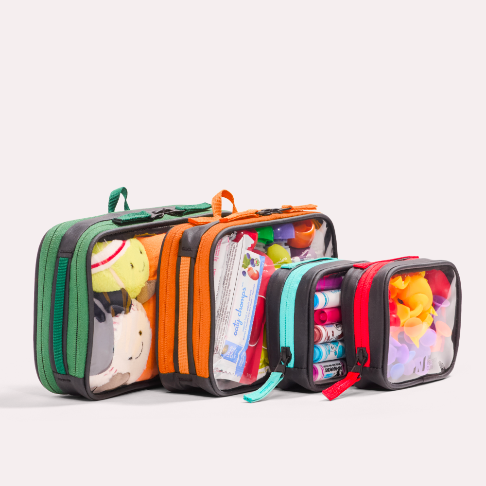 Set of Four Packing Organizers Clementine