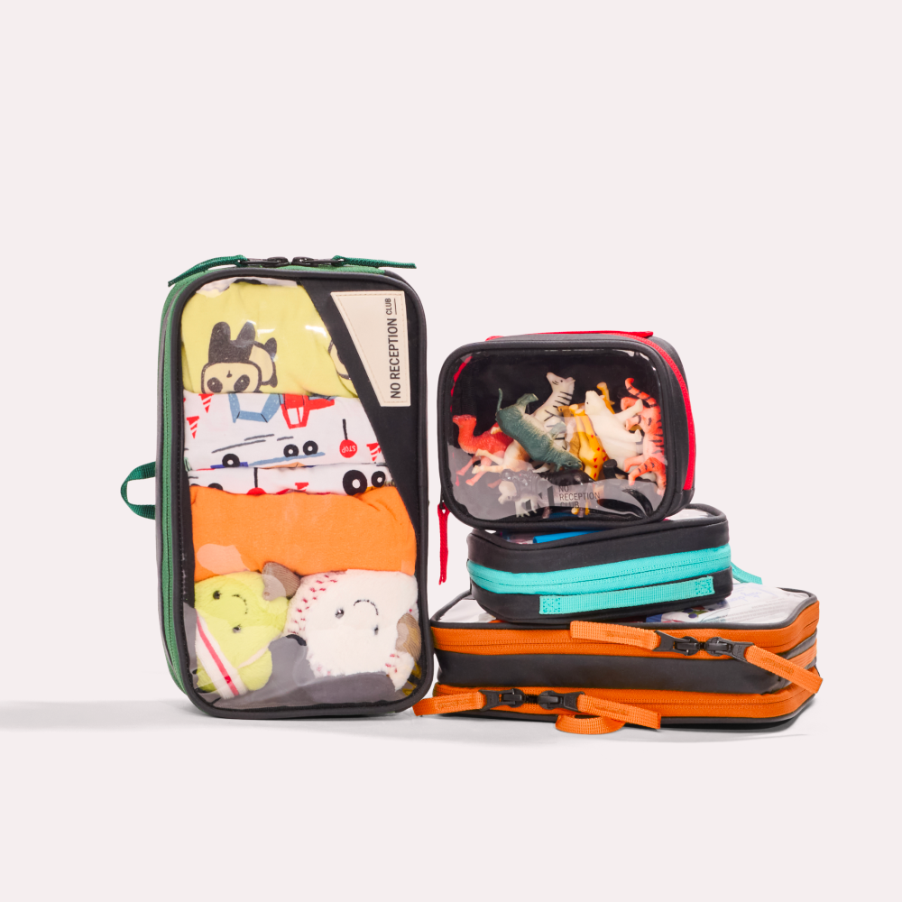 Set of Four Packing Organizers Clementine