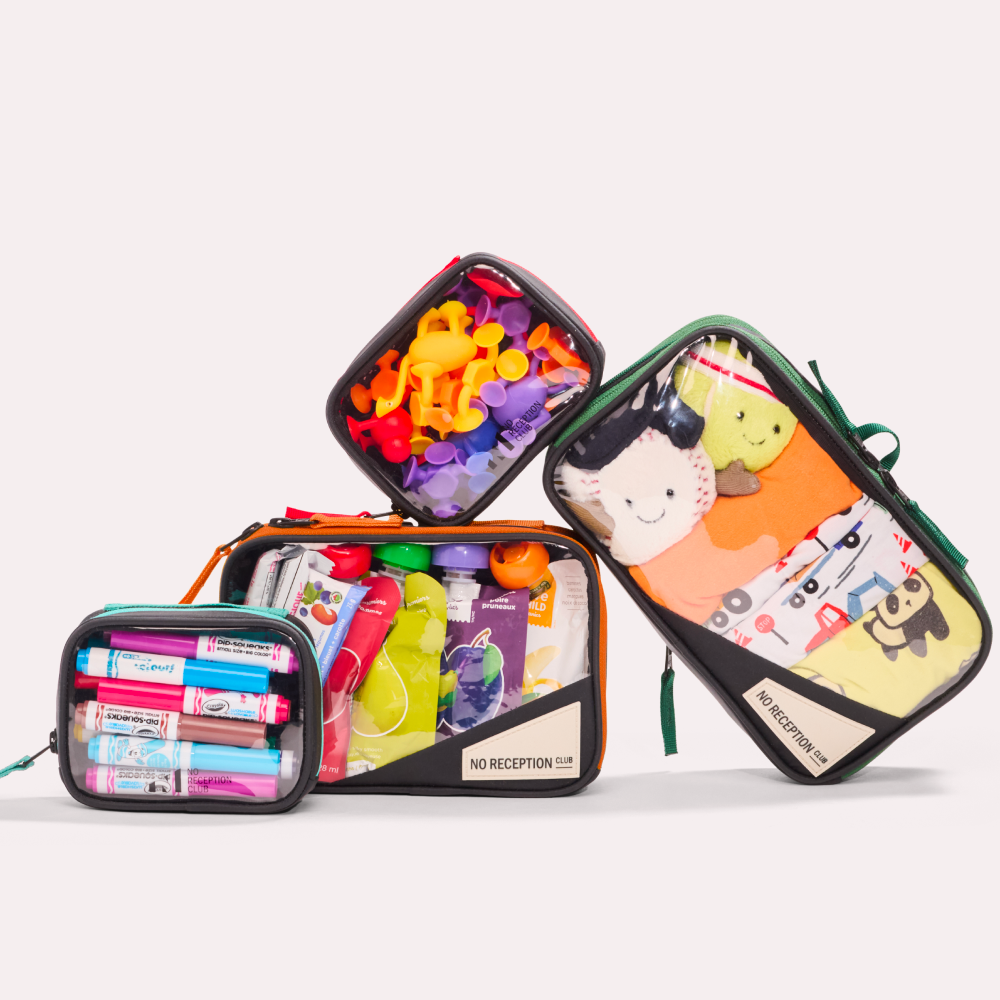 Set of Four Packing Organizers Clementine